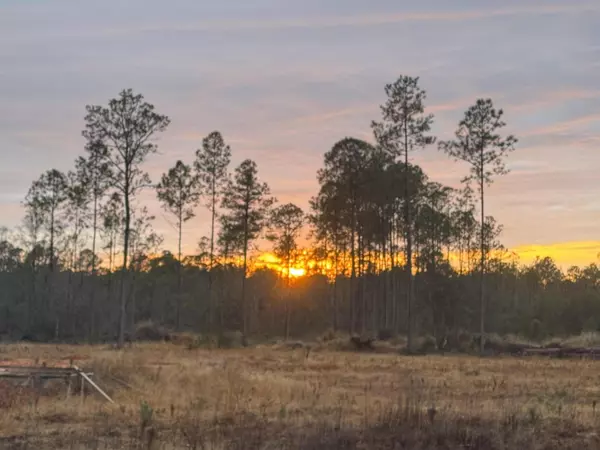 Freeport, FL 32439,1628 Joe Dugger Road