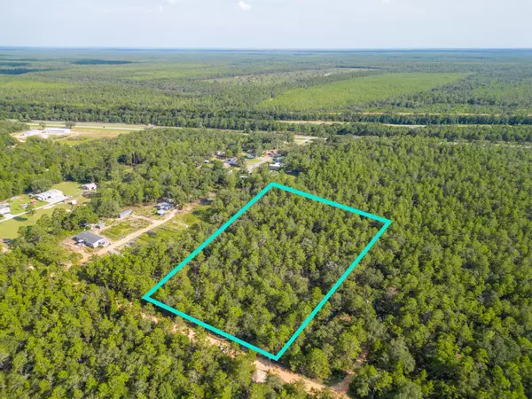 Defuniak Springs, FL 32433,5 Acres Carol Lane