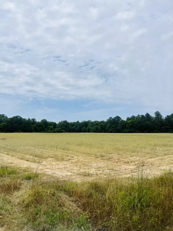 Cottondale, FL 32431,18 ACRES HWY 231