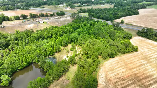 Cottondale, FL 32431,19 ACRES HWY 231