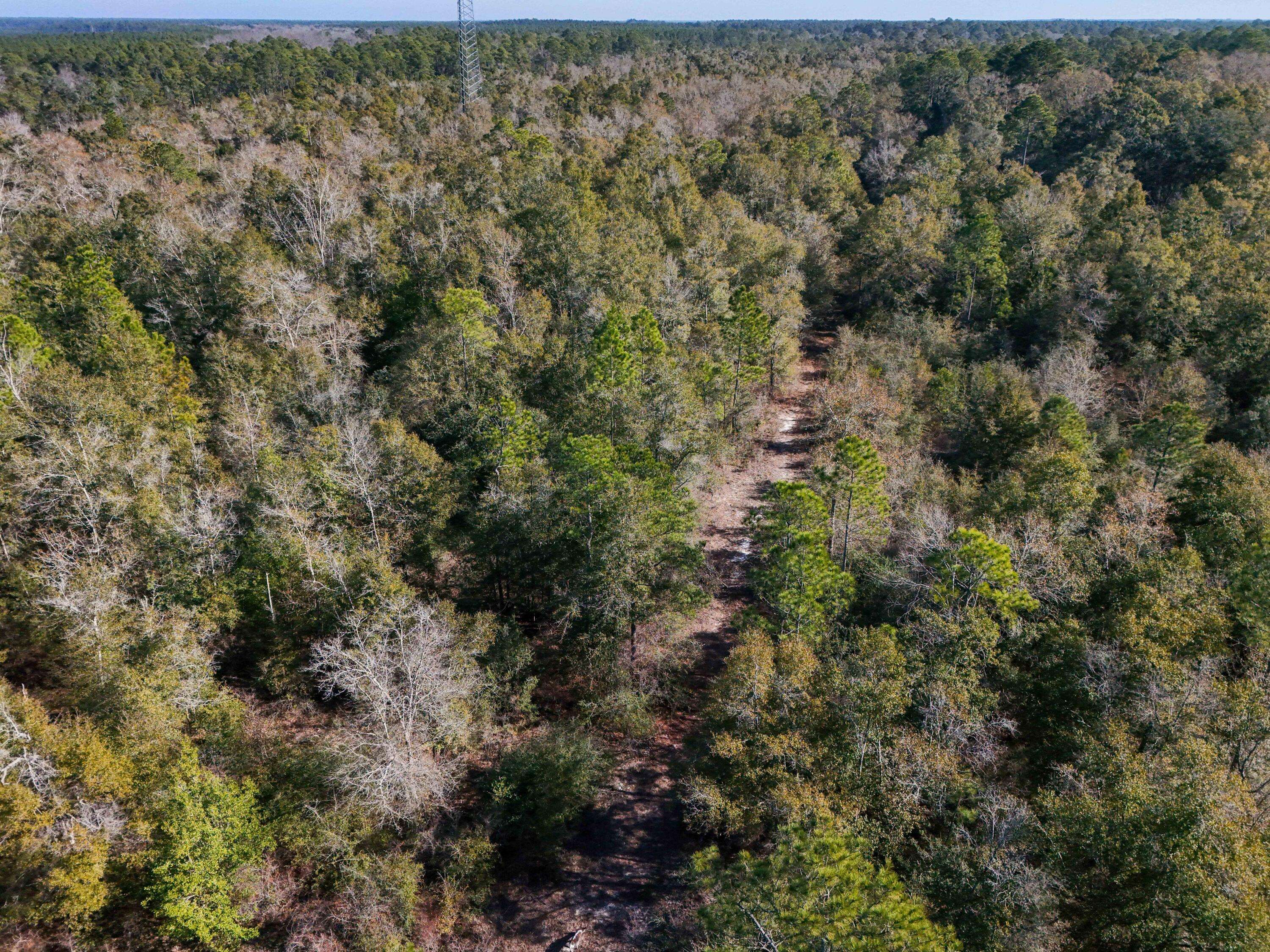 Ponce De Leon, FL 32455,TBD E St Highway 20