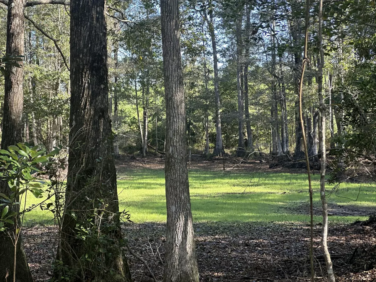 Laurel Hill, FL 32567,Parcel E Millside Road