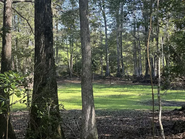 Parcel E Millside Road, Laurel Hill, FL 32567