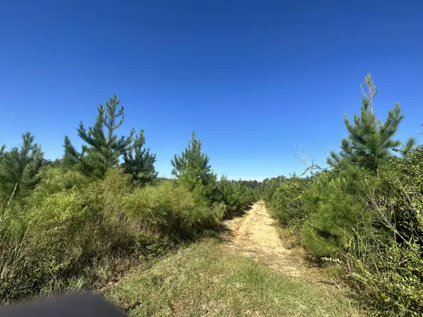 Laurel Hill, FL 32567,Parcel E Millside Road