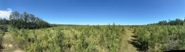 Laurel Hill, FL 32567,Parcel E Millside Road