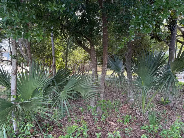 Destin, FL 32541,317 Main Street