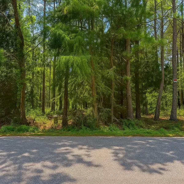 Freeport, FL 32439,Lot 2 Dolphin Cove