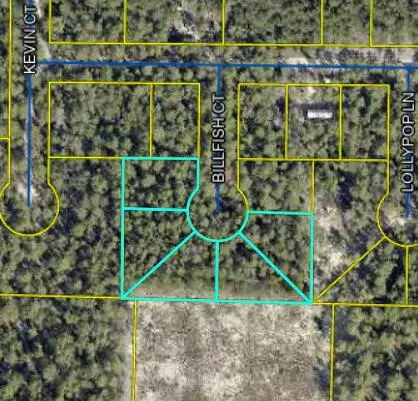 TBD Billfish Court, Defuniak Springs, FL 32433