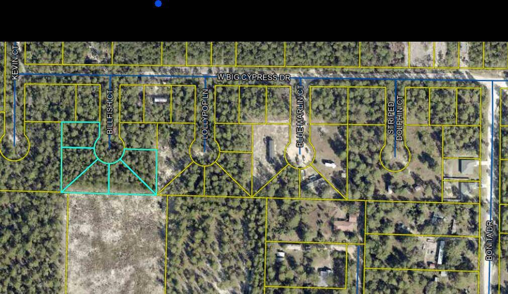 Defuniak Springs, FL 32433,TBD Billfish Court