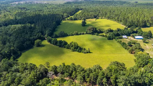 Westville, FL 32464,139 Acres Yorkey Road