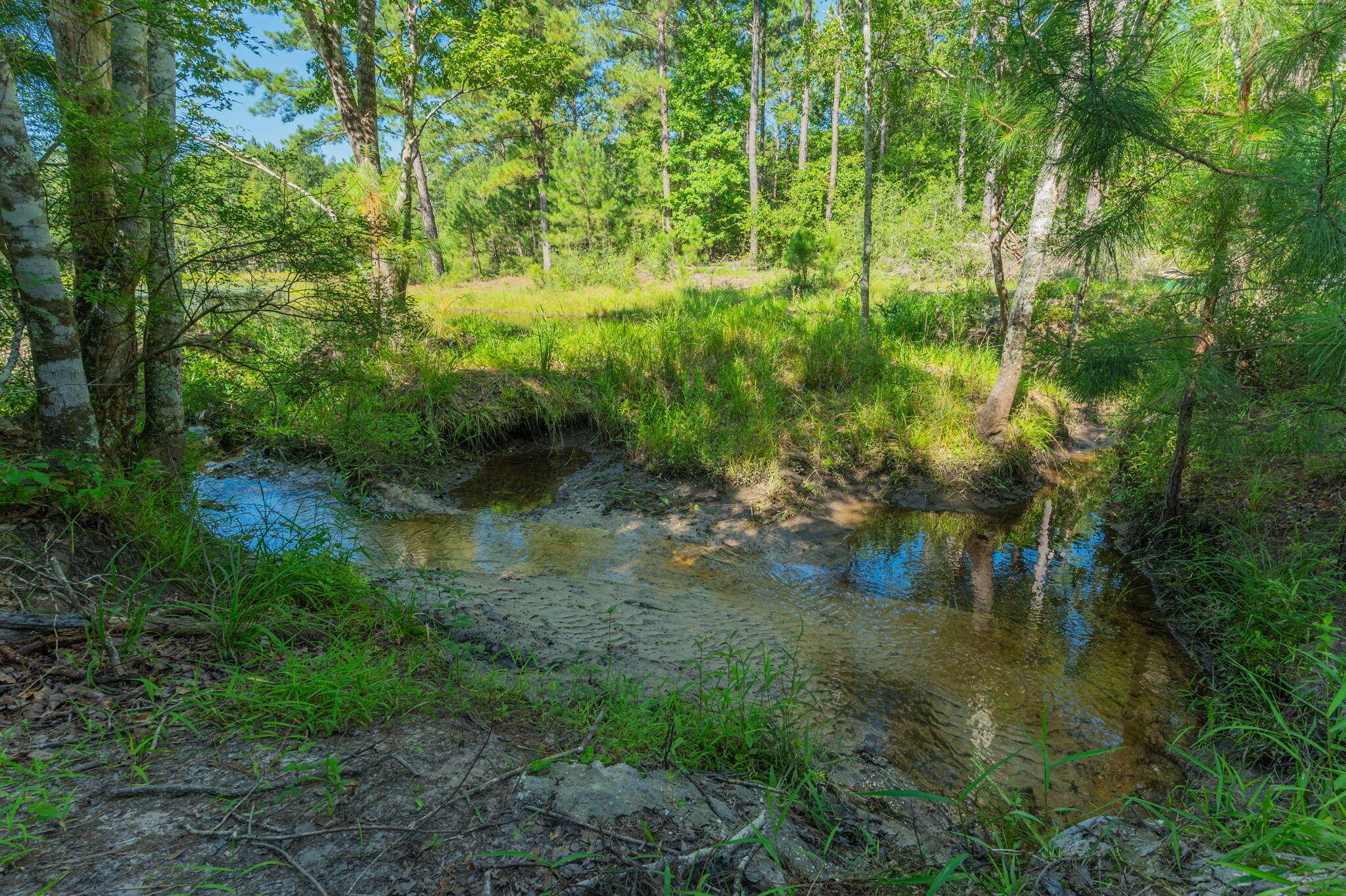 Westville, FL 32464,139 Acres Yorkey Road