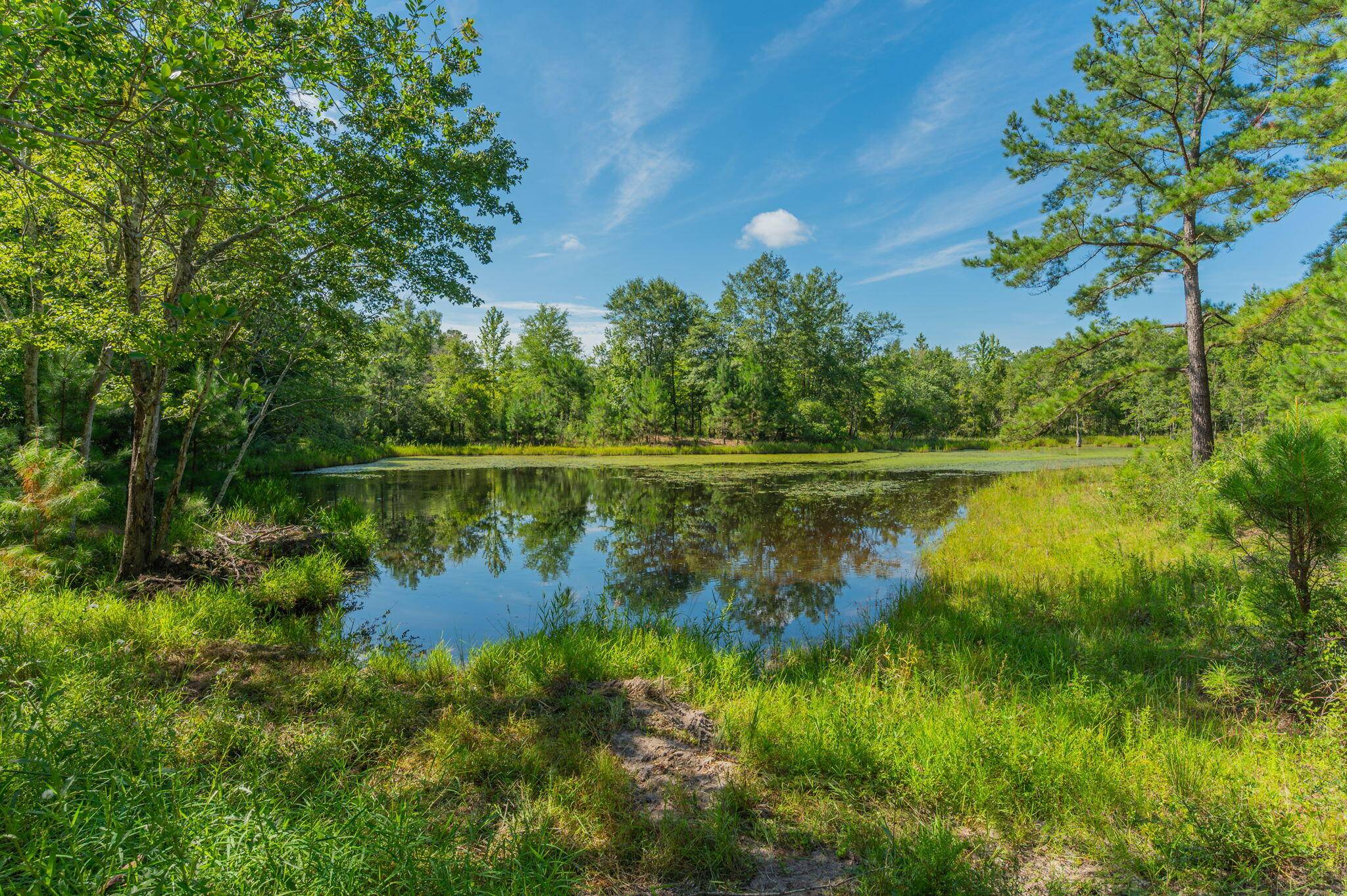 Westville, FL 32464,139 Acres Yorkey Road