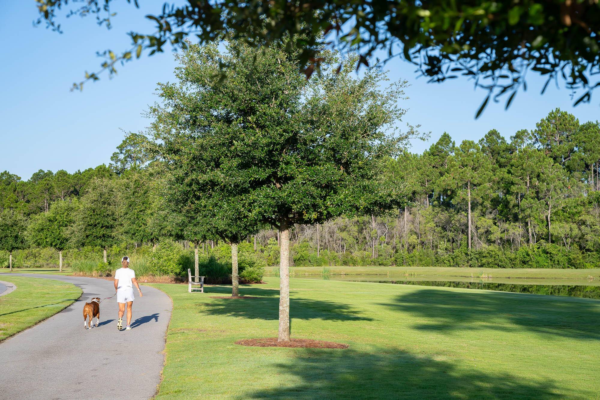 Watersound, FL 32461,553 Pollard Cove East  #Lot 113
