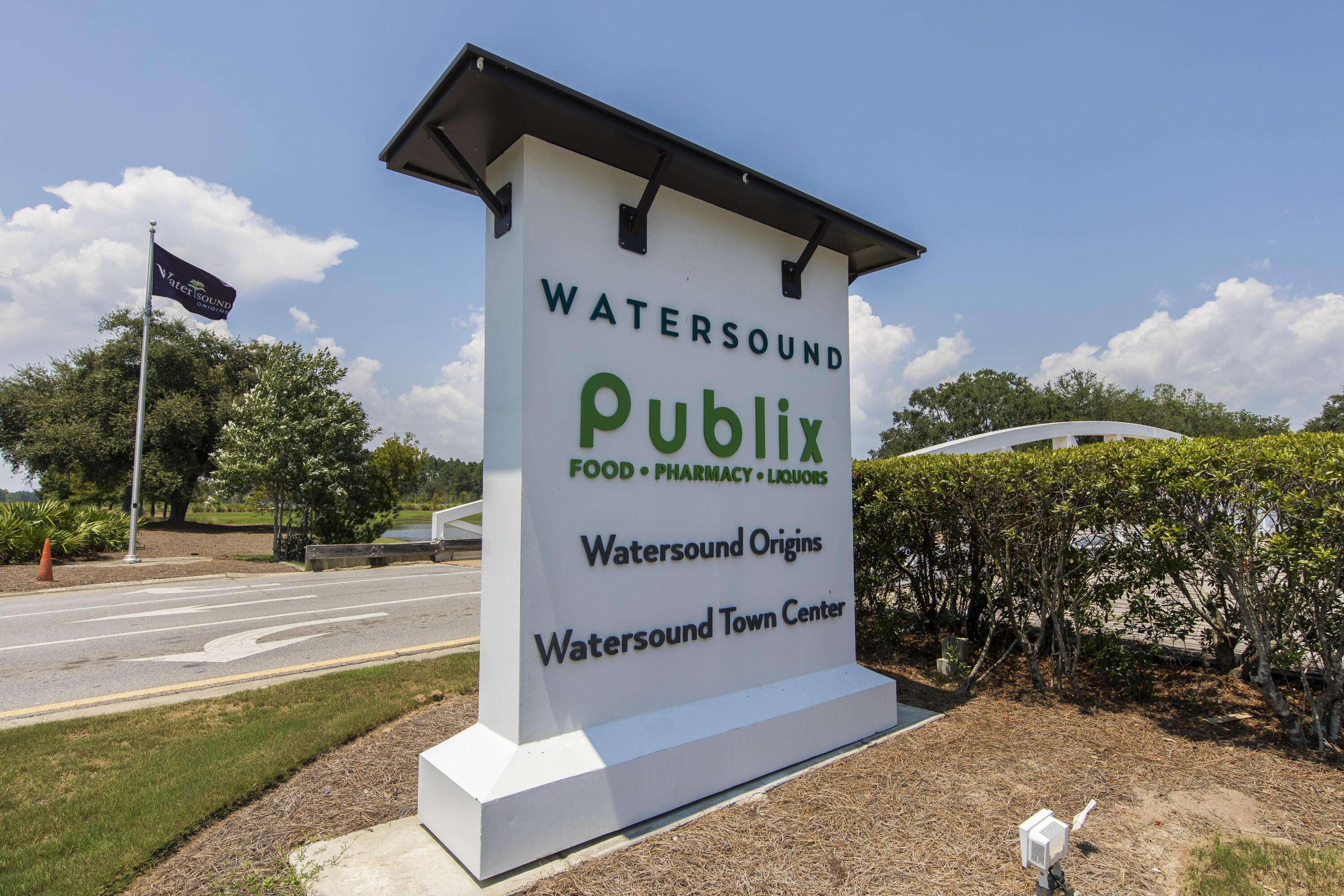 Watersound, FL 32461,553 Pollard Cove East  #Lot 113