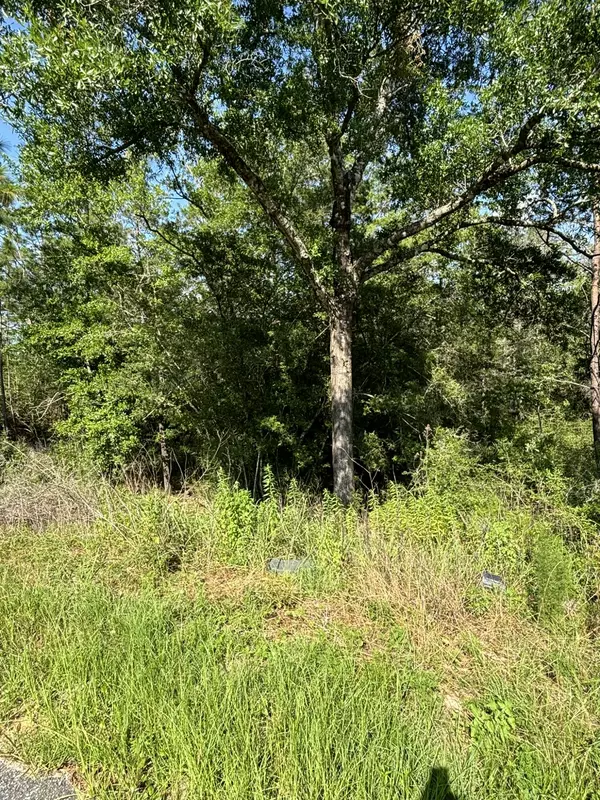 Defuniak Springs, FL 32433,0 E White Rose Street