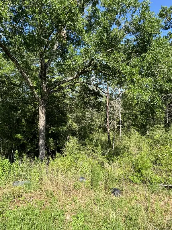 Defuniak Springs, FL 32433,0 E White Rose Street