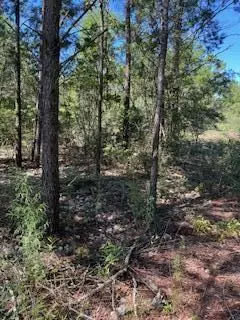 45-48 W Buckeye Street, Mossy Head, FL 32434