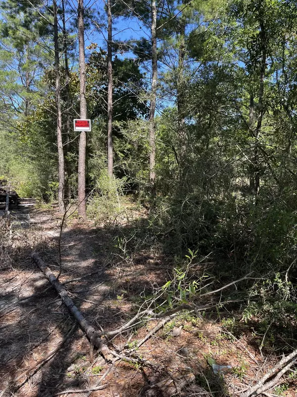 Mossy Head, FL 32434,45-48 W Buckeye Street