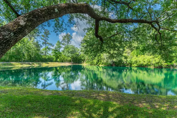 Laurel Hill, FL 32567,6859 Bill Lundy Road