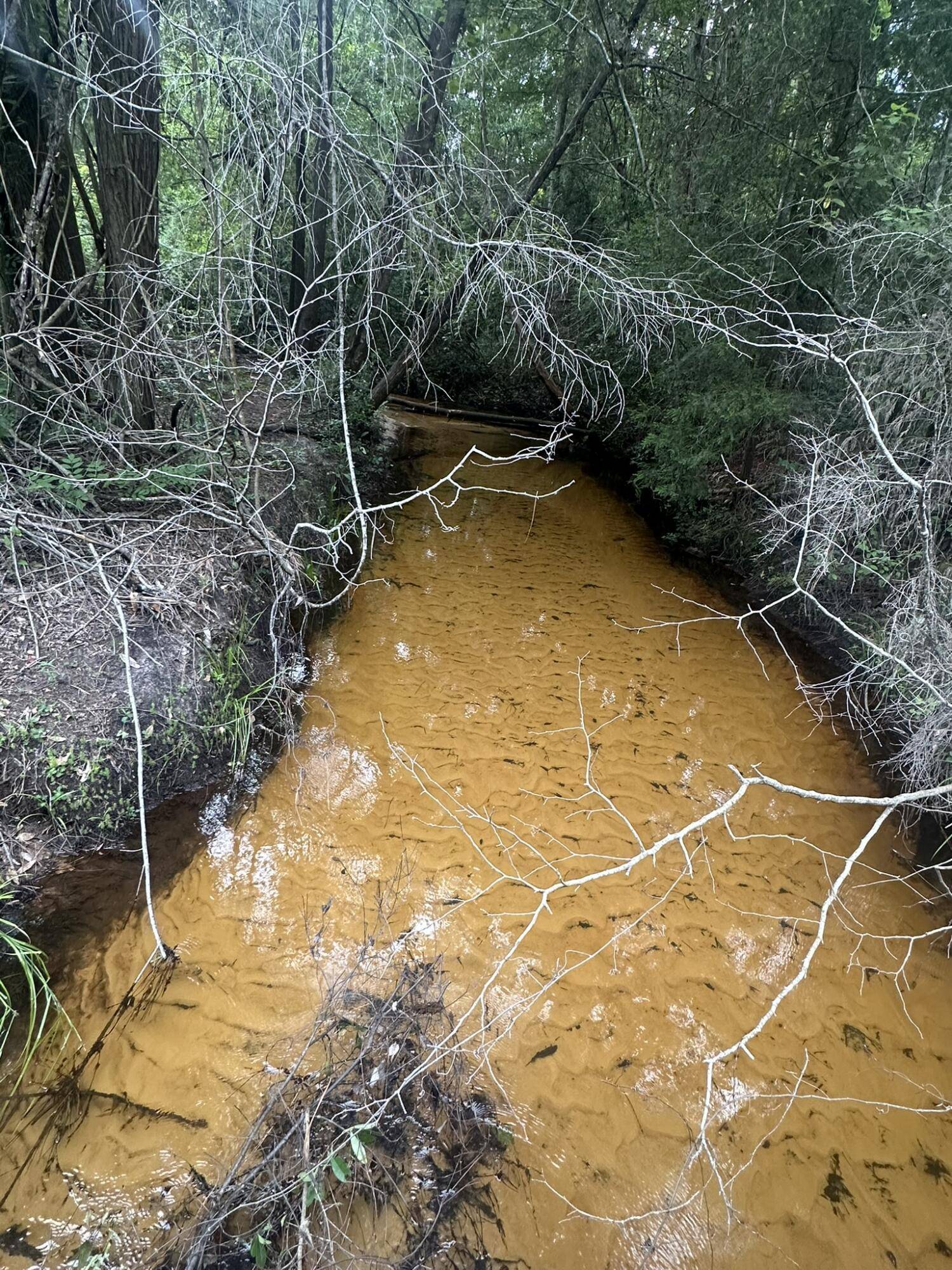 Baker, FL 32531,20+/- AC Keyser Mill Road