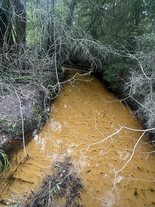 Baker, FL 32531,20+/- AC Keyser Mill Road