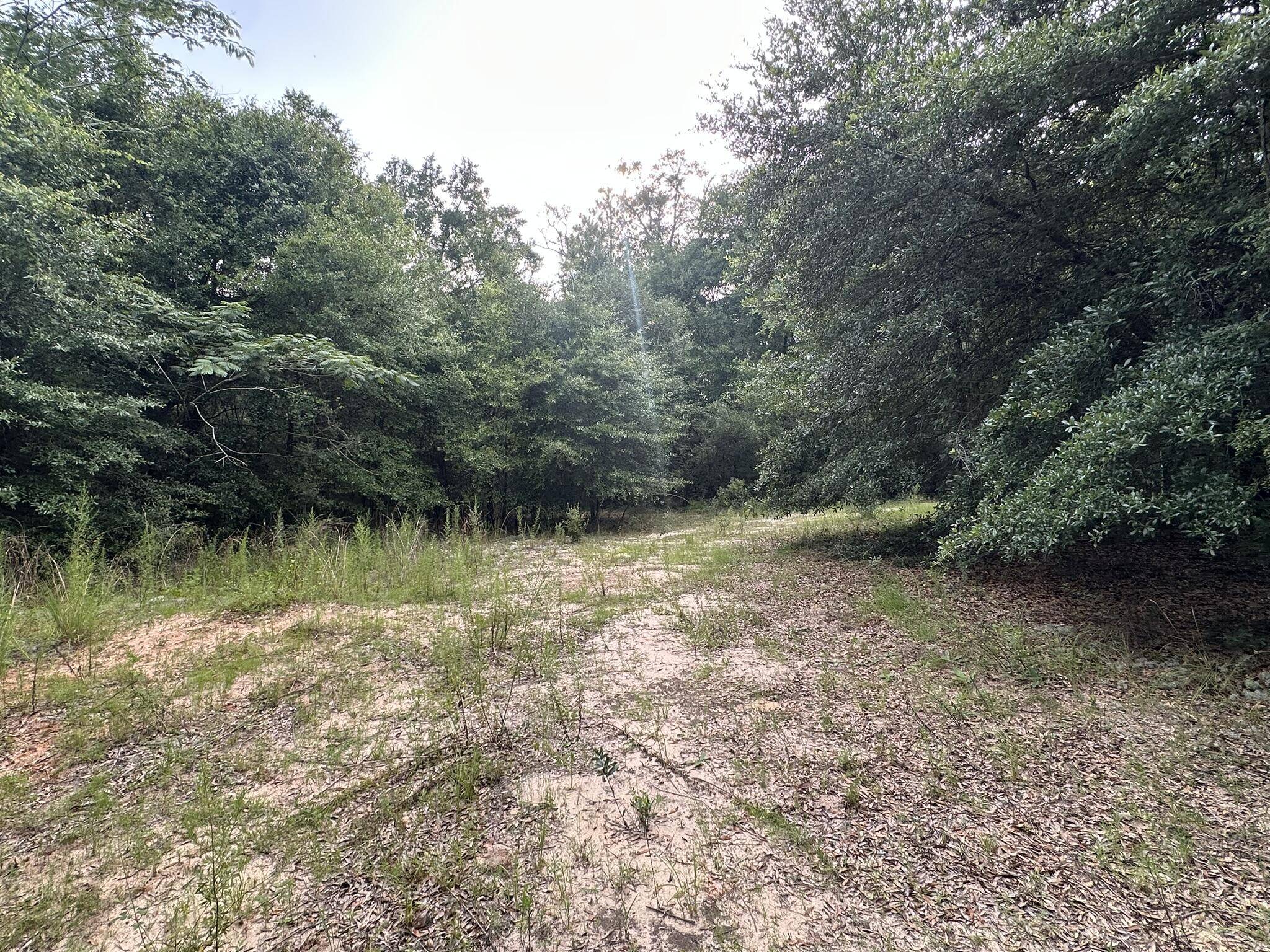 Baker, FL 32531,20+/- AC Keyser Mill Road