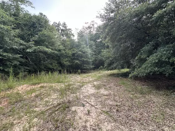 Baker, FL 32531,33+/- ac Keyser Mill Road