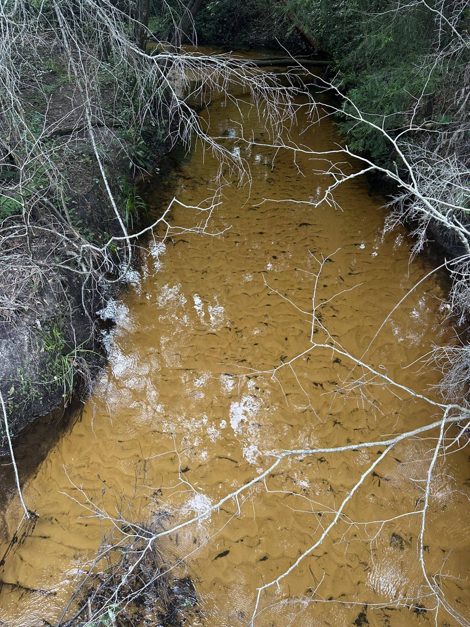 33+/- ac Keyser Mill Road, Baker, FL 32531