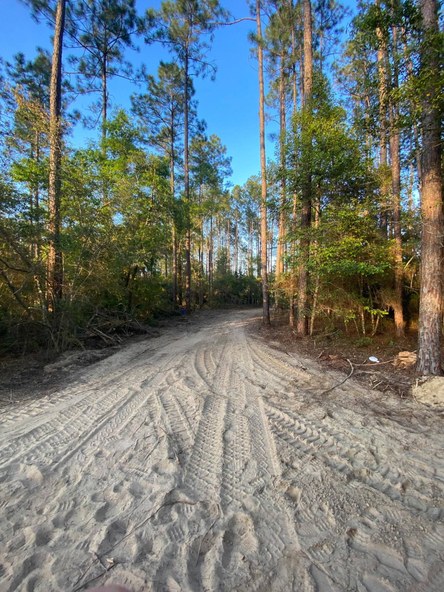 Freeport, FL 32439,TBD J W Hollington Road