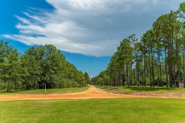 Laurel Hill, FL 32567,J1 Southern Comfort Way