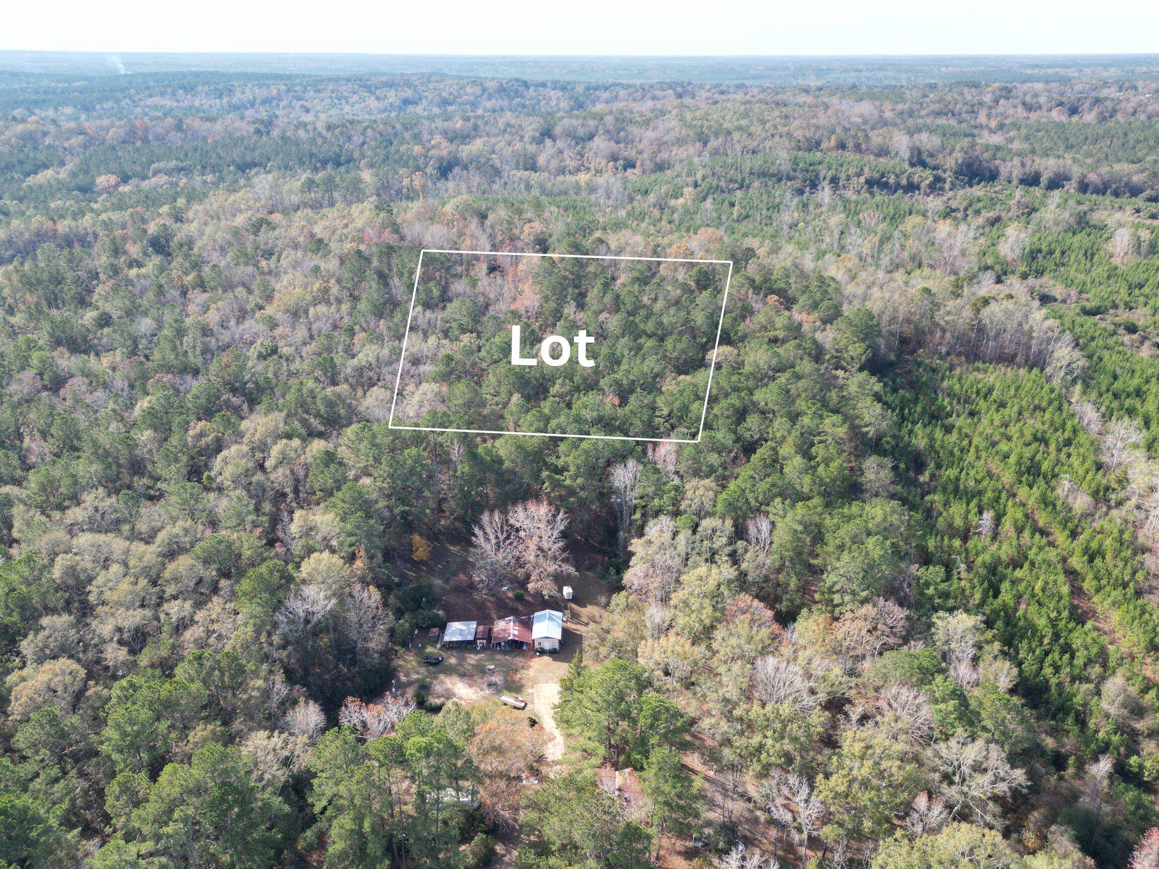 Ponce De Leon, FL 32455,00 Hwy 81 S