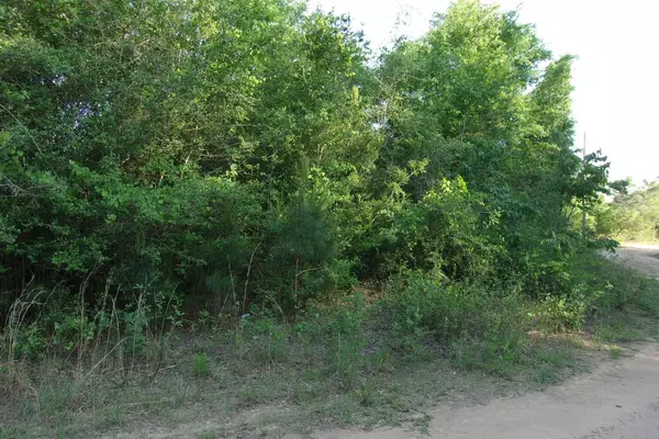 Crestview, FL 32539,00 Curlew Street