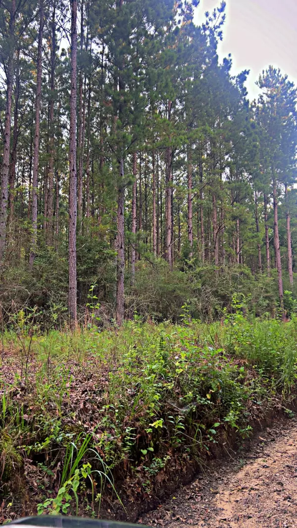 Laurel Hill, FL 32567,72 Acres Grimes Road