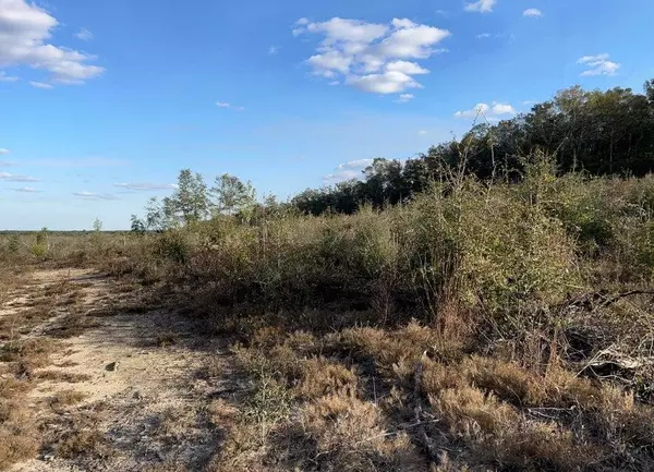 Ponce De Leon, FL 32455,00 James Luther Rd