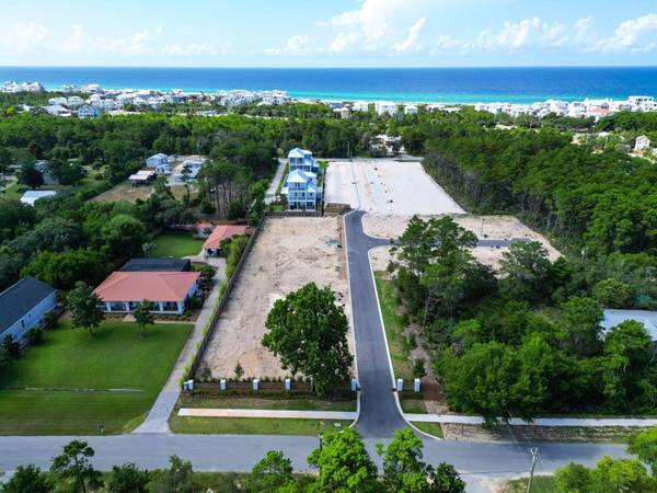 TBD Walton Palm Road, Inlet Beach, FL 32461