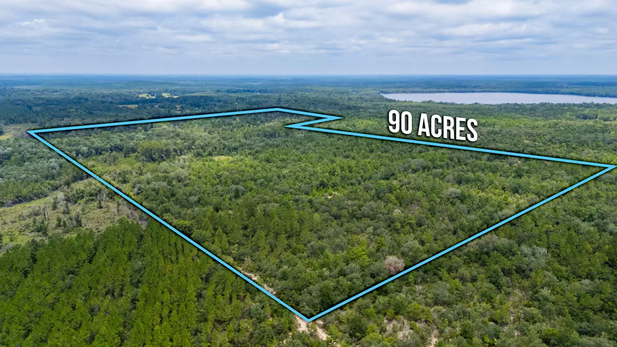 Vernon, FL 32462,90 Acres Union Hill Road