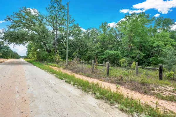 Vernon, FL 32462,90 Acres Union Hill Road