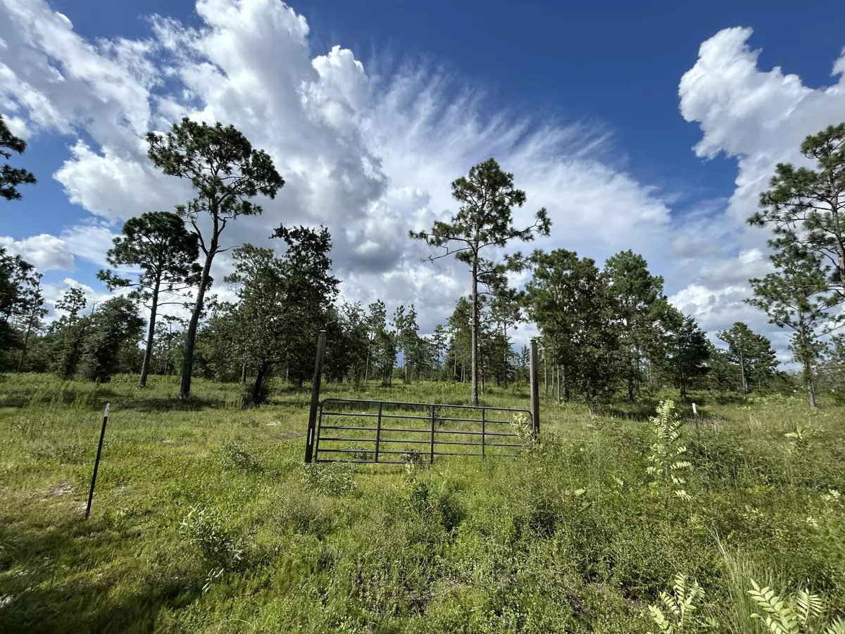 Fountain, FL 32438,12601 E Highway 20