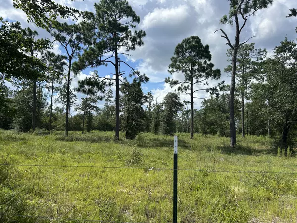 Fountain, FL 32438,12601 E Highway 20