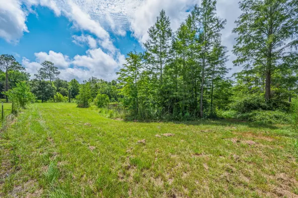 Florala, AL 36442,2685 Prescott Road