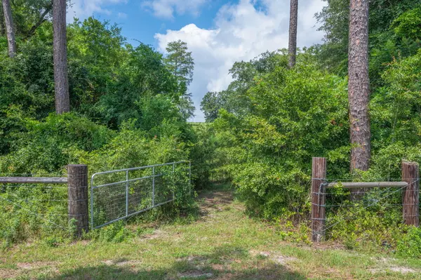 Florala, AL 36442,2685 Prescott Road