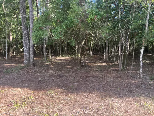 Freeport, FL 32439,TBD Sparkleberry Lane
