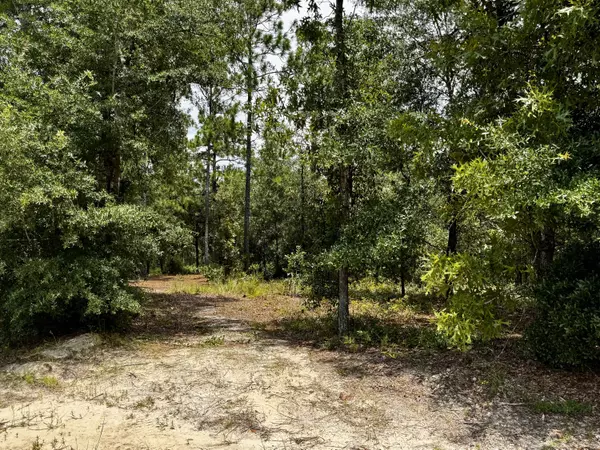 Defuniak Springs, FL 32433,Lots 49/50 Trout Drive