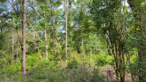 00 NE Second Avenue, Crestview, FL 32539