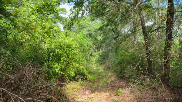 Crestview, FL 32539,00 NE Second Avenue