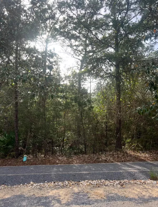 Santa Rosa Beach, FL 32459,308 Cullman Avenue
