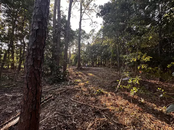 Pensacola, FL 32507,1510 Navaho Court