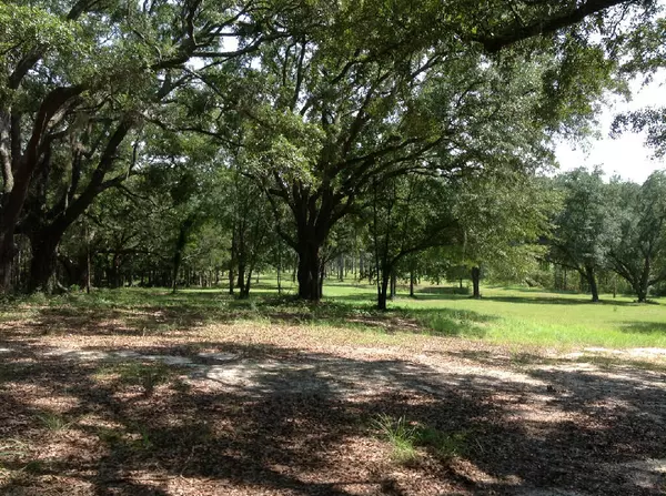 Bonifay, FL 32425,31 Canopy Oak Road