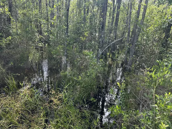 Baker, FL 32531,Parcel E Old River Road