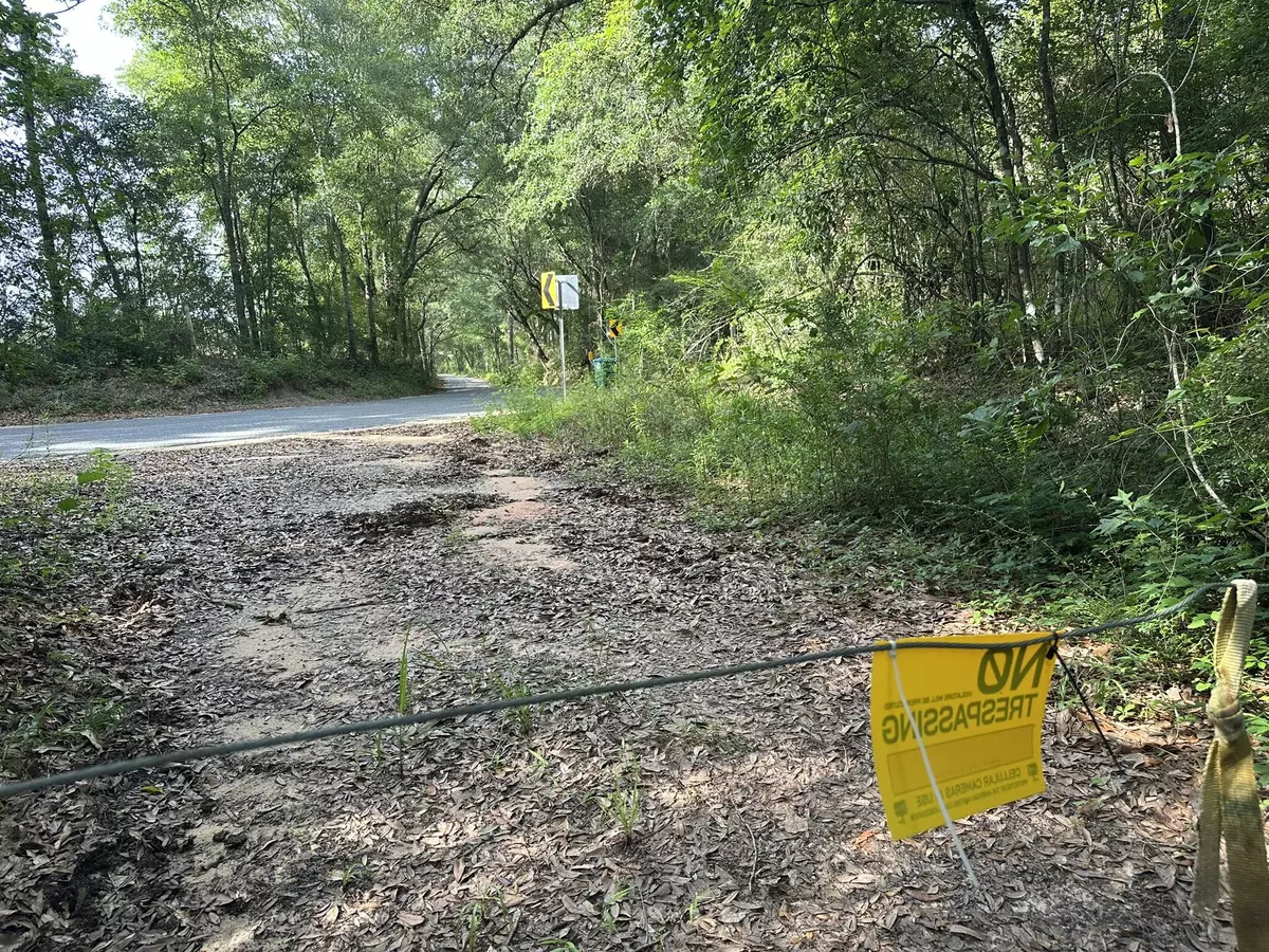 Baker, FL 32531,Parcel E Old River Road